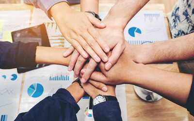 专业团队 驾驭创新